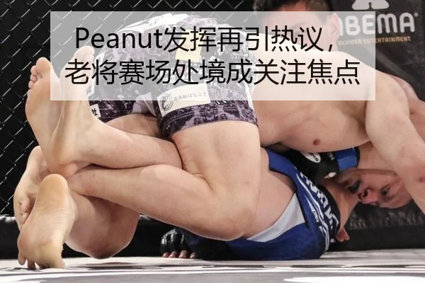 Peanut发挥再引热议，老将赛场处境成关注焦点